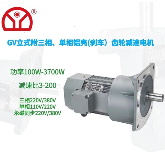 齒輪減速電機